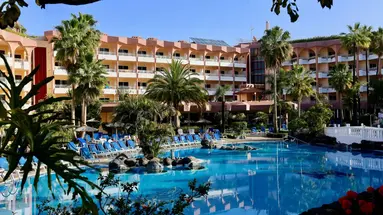 Hotel Puerto Palace