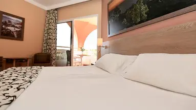 Hotel Puerto Palace