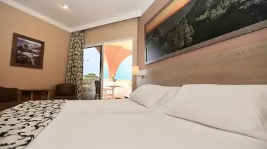 Hotel Puerto Palace