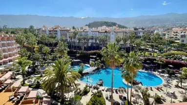 Hotel Puerto Palace