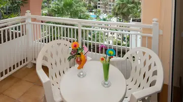 Hotel Puerto Palace