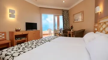 Hotel Puerto Palace