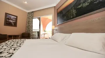Hotel Puerto Palace
