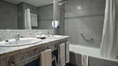 Hotel Puerto Palace