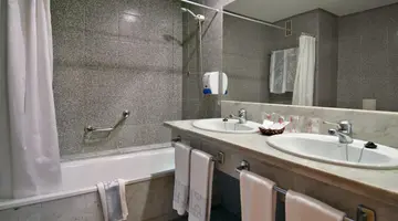 Hotel Puerto Palace