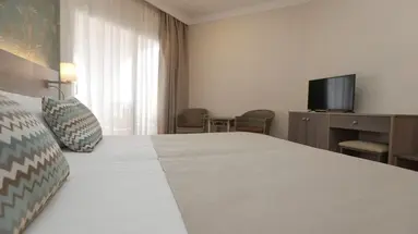 Hotel Puerto Palace