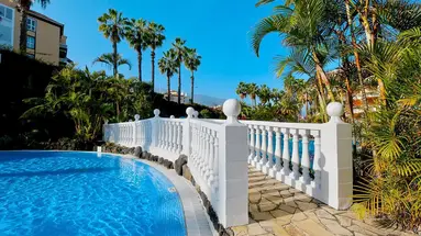 Hotel Puerto Palace
