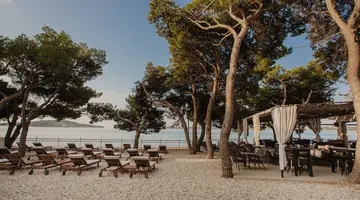 HOTEL PUNTA - VODICE****