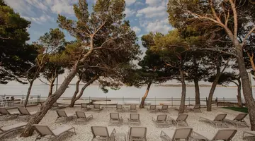 Hotel Punta
