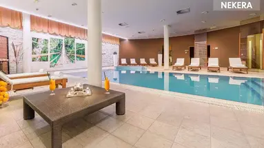 Hotel Punta