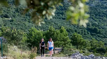 HOTEL QUERCUS****
