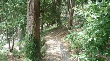 Hotel Quinta da Serra