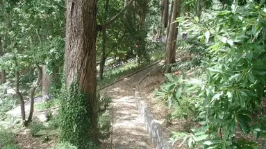 Hotel Quinta da Serra