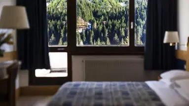 Hotel Regina e Fassa***