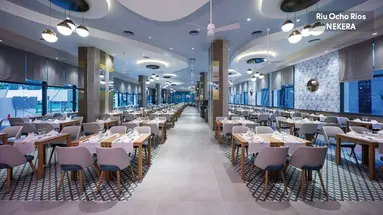Hotel Riu Ocho Rios