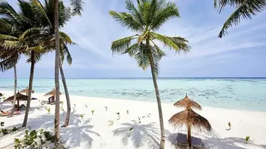 Hotel Riu Palace Maldivas