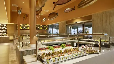 Hotel Riu Palace Maldivas