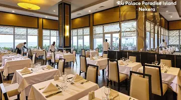 Hotel RIU Palace Paradise Island