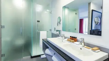 Hotel Riu Plaza New York Times Square