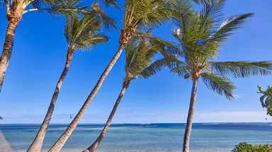 Hotel Riu Turquoise - All Inclusive
