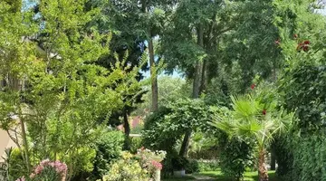 Hotel Riva Park - All Inclusive