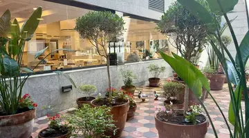 Hotel Rosamar Es Blau - Adults Only +21