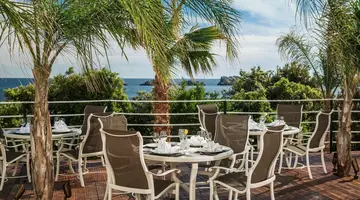 Hotel Royal Palm