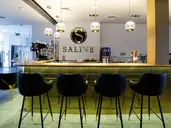 Hotel Saline