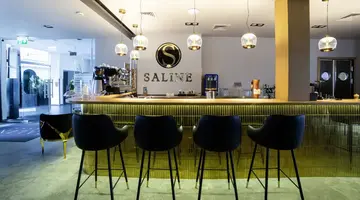 Hotel Saline