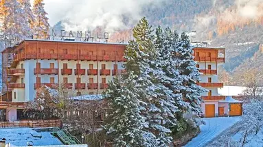 Hotel San Camillo***