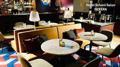 Hotel Schani Salon