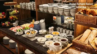 Hotel Schani Salon