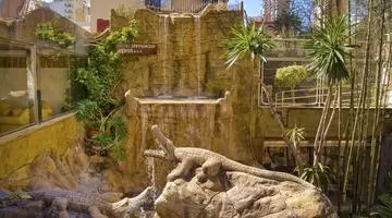 Hotel Servigroup Venus