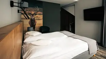 Hotel Skalny Szczyrk