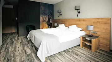 Hotel Skalny Szczyrk