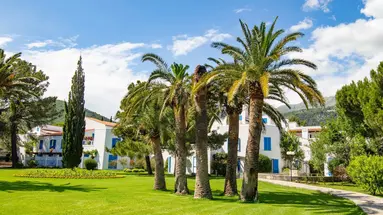 Hotel Slovenska Plaza