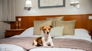 Hotel Snezka