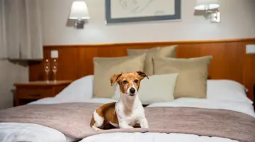 Hotel Snezka