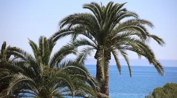 Hotel Son Caliu Spa Oasis Superior
