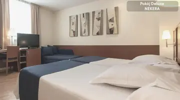 Hotel Sorolla Centro
