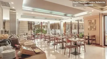 Hotel Sorolla Centro