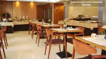 Hotel Sorolla Centro