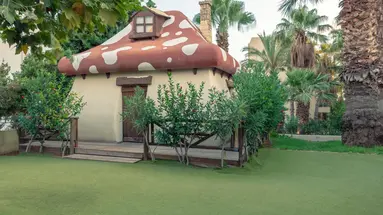 Hotel Star Beach Village