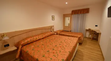 Hotel Stella Alpina**