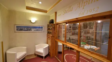 Hotel Stella Alpina**