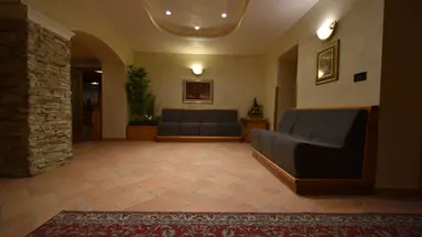 Hotel Stella Alpina**