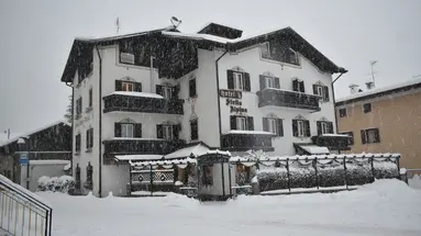 Hotel Stella Alpina**