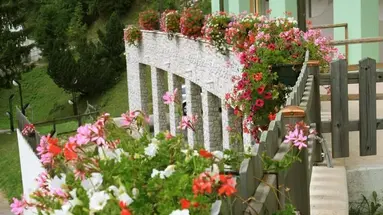 Hotel Stella Montis