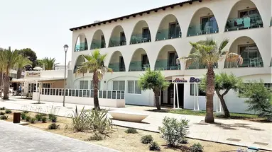 Hotel Stil Bonsai