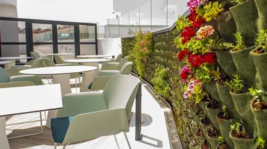 Hotel  Taimar